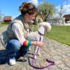 volledig gevlochten paarse lijn - Thumbnail Image 4
