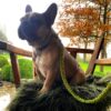 volledig gevlochten muntgroene lijn - Thumbnail Image 3