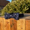 donkerblauwe strik met bolletjes - Thumbnail Image 1